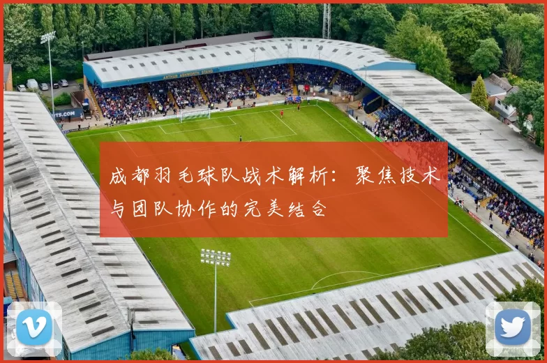 成都羽毛球队战术解析：聚焦技术与团队协作的完美结合