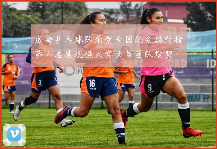 成都乒乓球队荣登全国配合排行榜第六名展现强大实力与团队默契