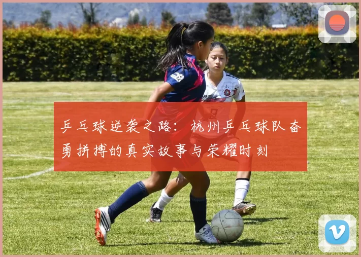 乒乓球逆袭之路：杭州乒乓球队奋勇拼搏的真实故事与荣耀时刻