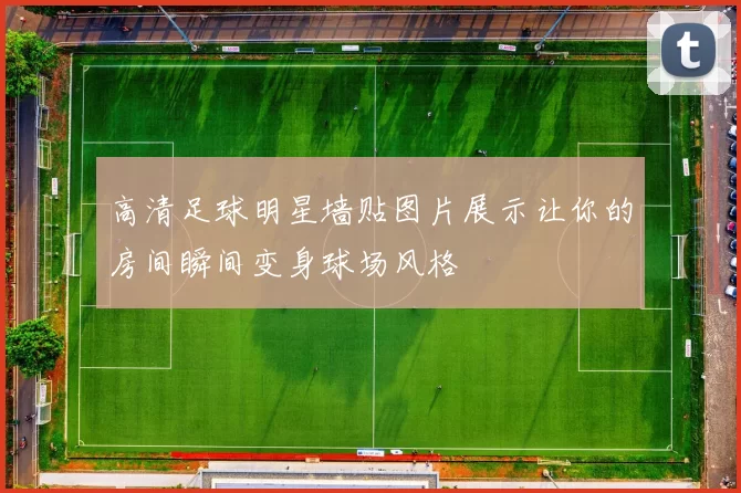 高清足球明星墙贴图片展示让你的房间瞬间变身球场风格