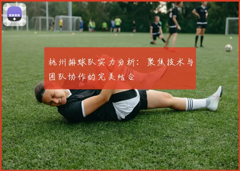 杭州排球队实力分析：聚焦技术与团队协作的完美结合