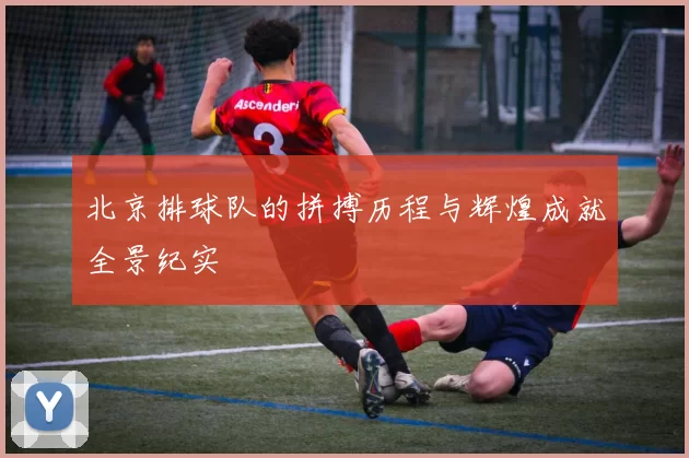 北京排球队的拼搏历程与辉煌成就全景纪实