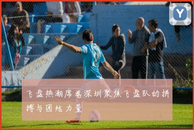 飞盘热潮席卷深圳聚焦飞盘队的拼搏与团结力量