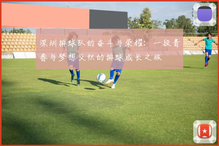 深圳排球队的奋斗与荣耀：一段青春与梦想交织的排球成长之旅
