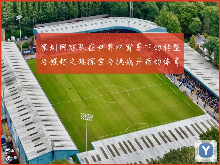 深圳网球队在世界杯背景下的转型与崛起之路探索与挑战并存的体育发展新篇章