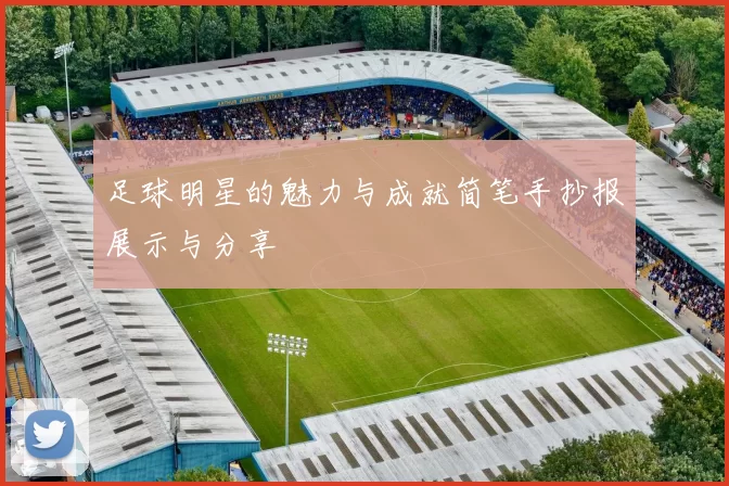 足球明星的魅力与成就简笔手抄报展示与分享
