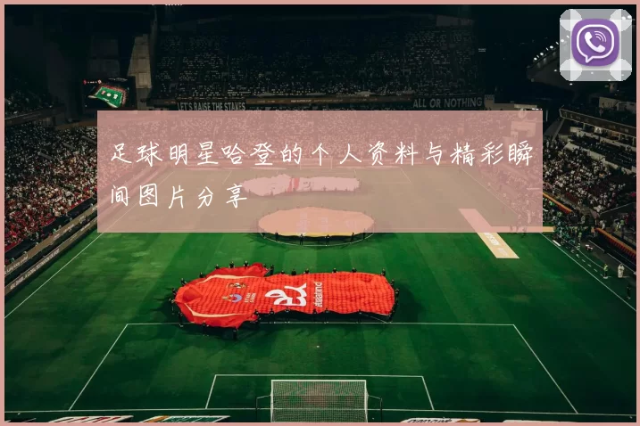 足球明星哈登的个人资料与精彩瞬间图片分享