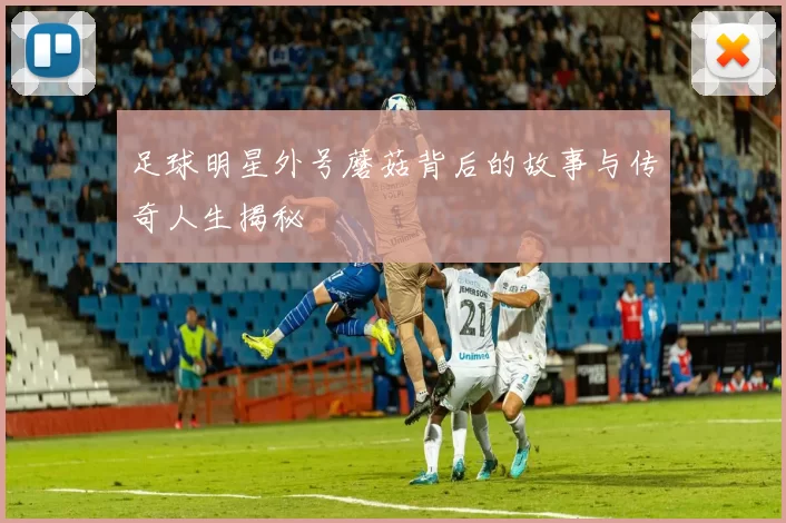 足球明星外号蘑菇背后的故事与传奇人生揭秘