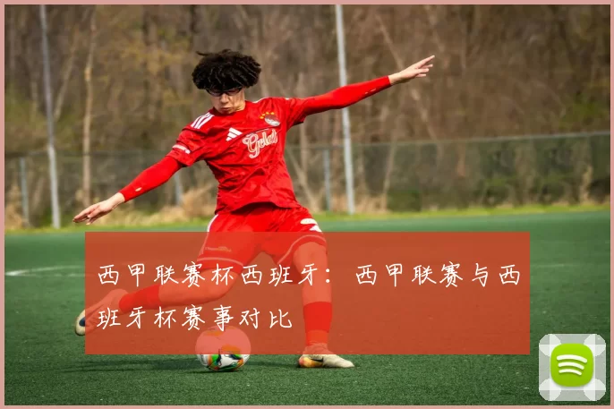 西甲联赛杯西班牙：西甲联赛与西班牙杯赛事对比